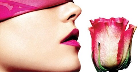 Giải mã những điều thú vị xảy ra bên trong mũi khi chúng ta ngửi