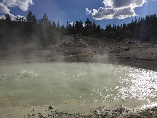 Suối nước nóng Evening Primrose ở Vườn quốc gia Yellowstone.