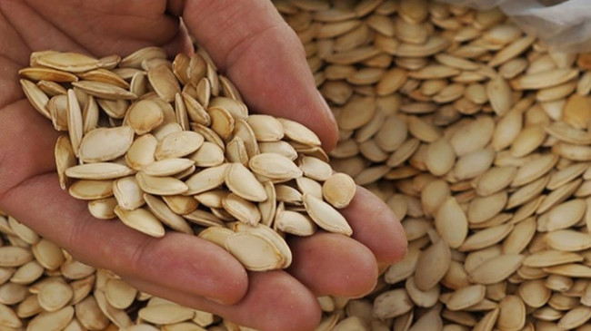 Hạt bí ngô giúp bảo vệ tuyến tiền liệt