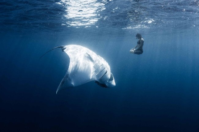 Cân bằng và yên bình! Cân bằng và yên bình!