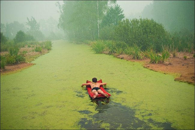 Bơi vào mùa hè. Bơi vào mùa hè.