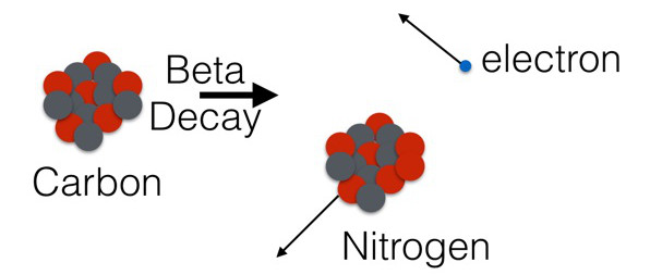 Hạt nhân của một nguyên tử bao gồm các proton và các neutron