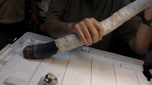 Bí ẩn về loài giun khổng lồ dài gần 1,5m ăn được cả khí thối hydro sulfide