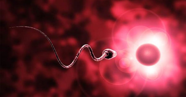 Nam giới nên ngủ lúc mấy giờ để tinh trùng khỏe mạnh nhất?