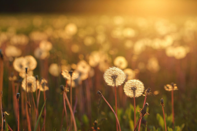 Mọi công việc, cảm xúc đều bình đẳng 