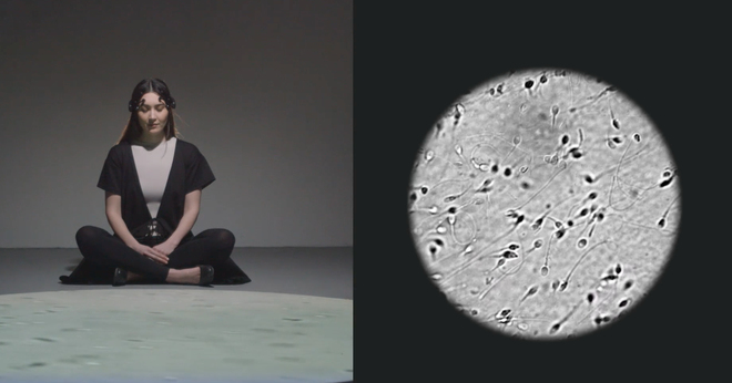 Ani Liu khiến các con tinh trùng bơi đổi hướng trái phải theo chính suy nghĩ   Ani Liu khiến các con tinh trùng bơi đổi hướng trái phải theo chính suy nghĩ