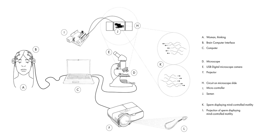 Mô tả quá trình điều khiển tinh trùng bằng suy nghĩ Ani Liu   Mô tả quá trình điều khiển tinh trùng bằng suy nghĩ Ani Liu