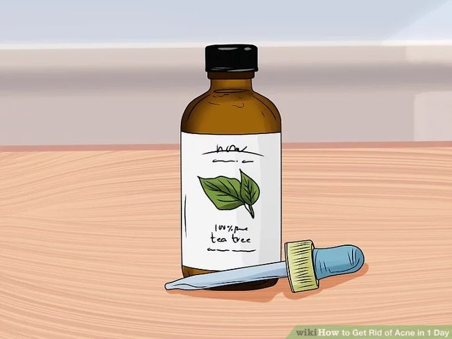 Thử dùng dầu tràm trà