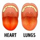 Nhìn lưỡi đoán bệnh: 13 dấu hiệu không thể bỏ qua