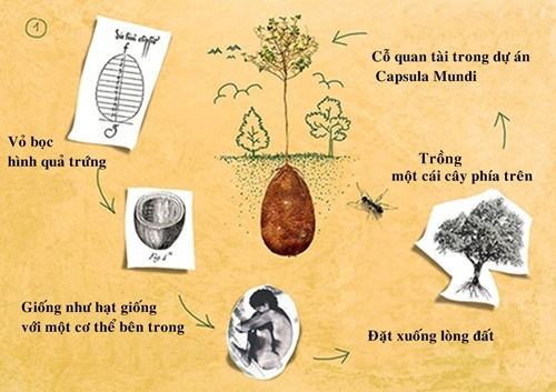 Hoạt động của vỏ bọc hữu cơ dùng để chôn cất người chết Hoạt động của vỏ bọc hữu cơ dùng để chôn cất người chết.