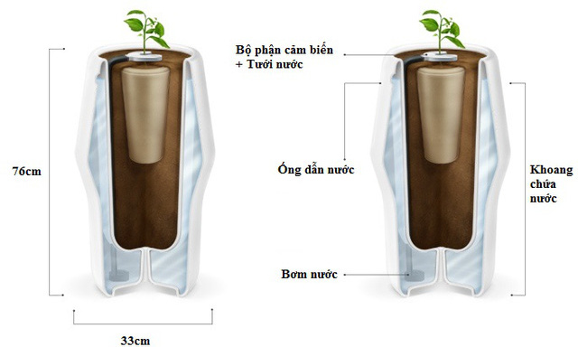 Cấu tạo của bình sinh học   Cấu tạo của bình sinh học