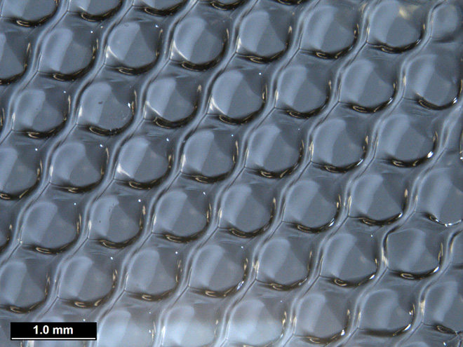 Một cấu trúc buồng trứng được in ra từ nguyên liệu Gelatin 