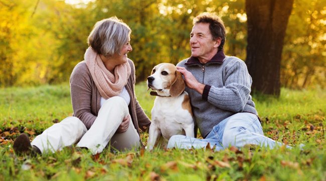 Biết ơn việc già đi Biết ơn việc già đi