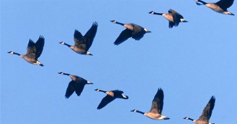 Bất ngờ với các kỷ lục về độ cao trên thế giới được ít người biết đến