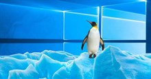 Windows và Linux có những điểm chung gì?