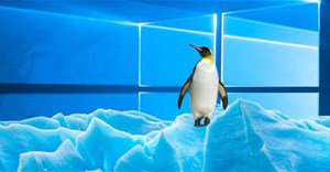 Windows và Linux có những điểm chung gì?