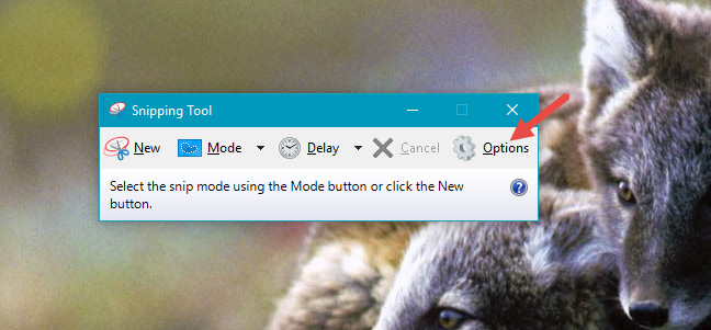 Nút Options trong Snipping Tool