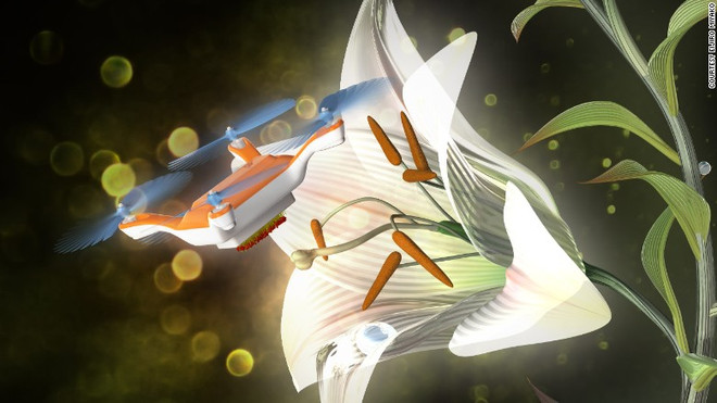 Máy bay mini thực hiện quá trình thụ phấn