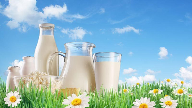 Với những người muốn giảm cân không nên uống sữa đêm 