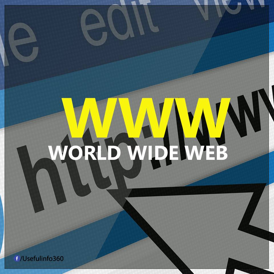 Thuật ngữ WWW Thuật ngữ WWW