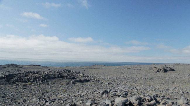 Genesis được các công ty năng lượng cực kỳ ưu ái