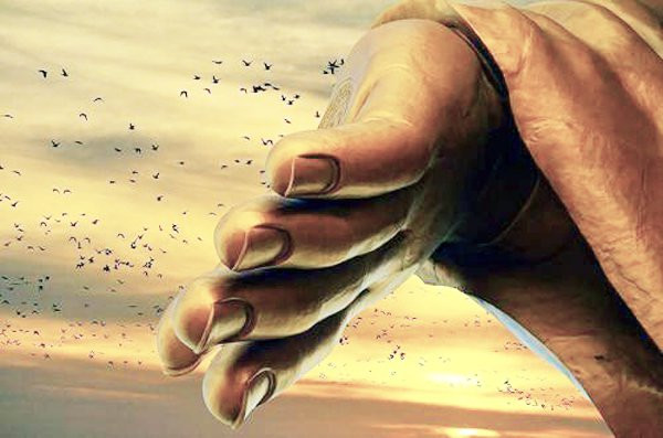 Gặp nhau do cơ duyên là một điều may mắn 