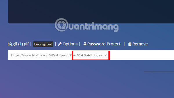 Sao chép đoạn mã hóa tải file Sao chép đoạn mã hóa tải file