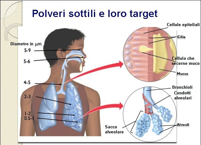 Bụi mịn có khả năng gây tổn hại tới các cơ quan quan trọng của cơ thể 