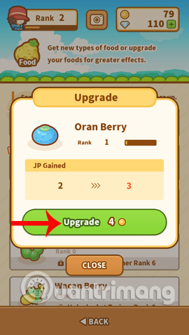 Nâng cấp đồ ăn cho Magikarp