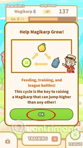 Quy trình phát triển Magikarp