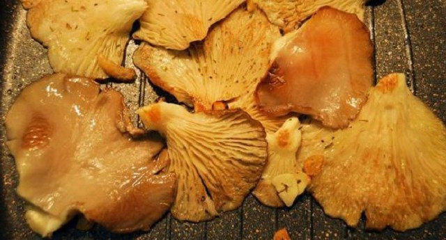 Nấm nấu bằng lò vi sóng 