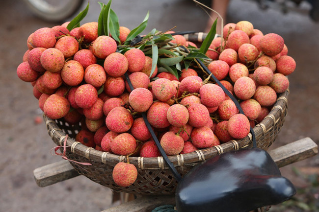 Trái cây đặc trưng theo mùa 