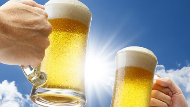 Bia là đồ uống được chiết suất sau khi lên men lúa mạch