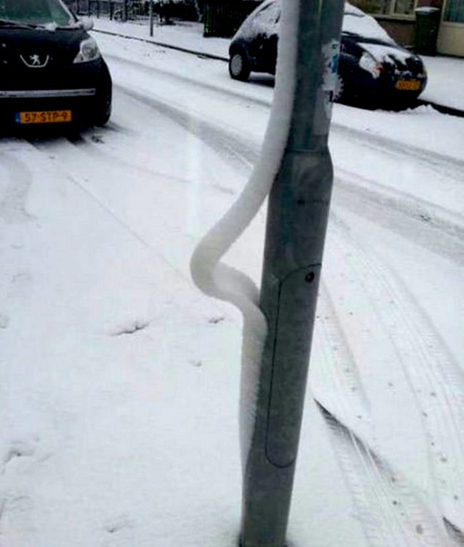 Nhìn giống như một con sâu đo đang nhích từng bước về nhà vậy.