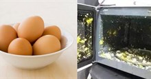 Luộc trứng bằng lò vi sóng có thể phát nổ, tại sao vậy?