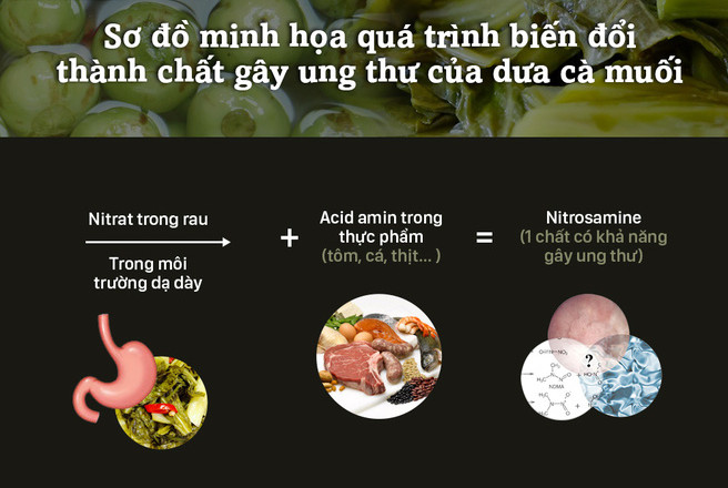 Quá trình biến đổi chất của thực phẩm 