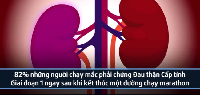 Thận dễ bị hư tổn Thận dễ bị hư tổn