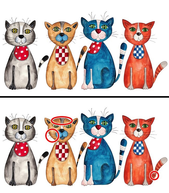 Điểm khác biệt giữa các con mèo