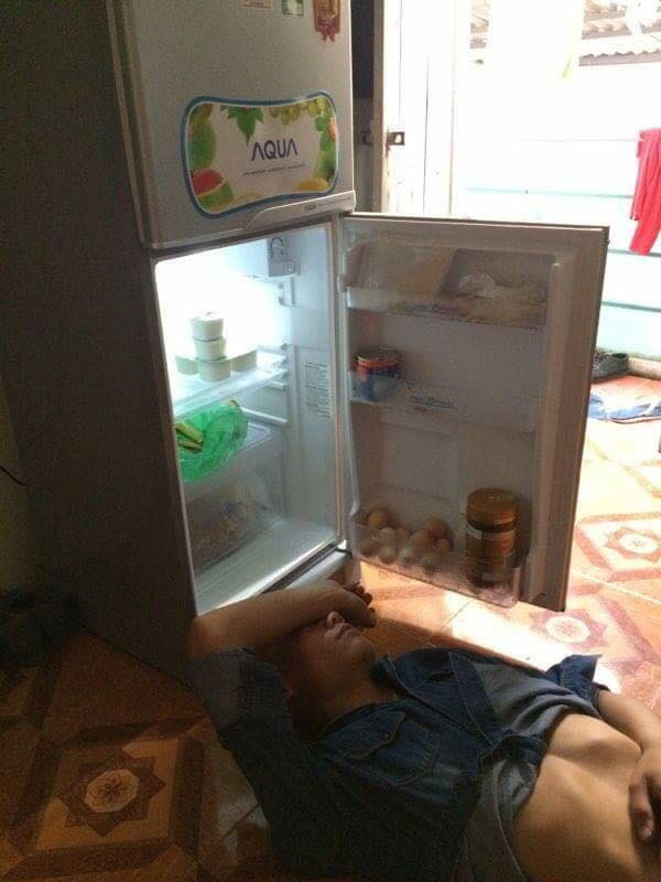 Tủ lạnh cũng có lợi đấy chứ Tủ lạnh cũng có lợi đấy chứ