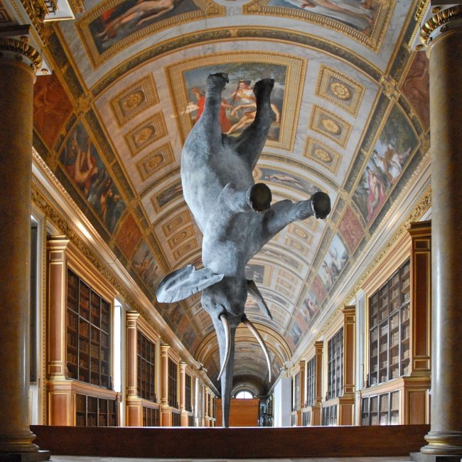 "Features of Gravity for the Elephant" - Pháp