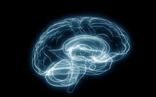 Với những hoạt động cao cấp, não của chúng ta sẽ tổng quát hóa chúng theo hướng đơn giản  Với những hoạt động cao cấp, não của chúng ta sẽ tổng quát hóa chúng theo hướng đơn giản