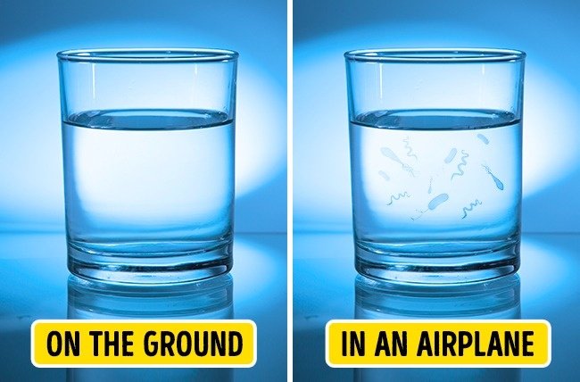 Vô tình "tiêu thụ" các loại vi khuẩn nguy hiểm