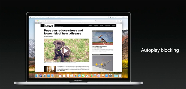 Autoplay Blocking chặn video chạy tự động