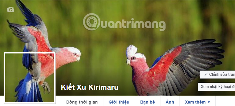 Tạo kiểu cho avatar và cover Facebook