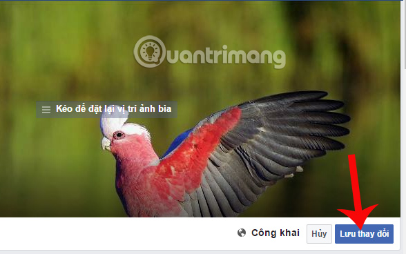 Tải ảnh cover Facebook