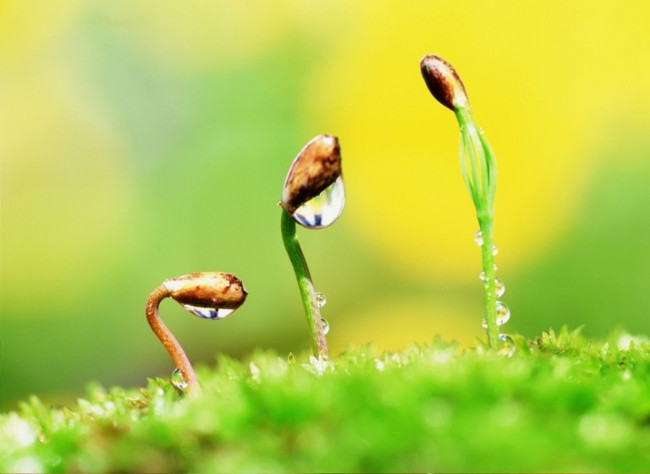 Dù có chuyện gì xảy ra đừng nghĩ cuộc đời mình thảm hại