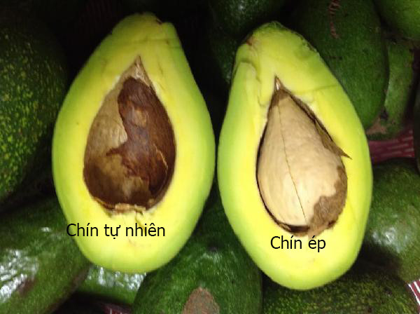 Cách chọn bơ ngong không ngâm hóa chất 