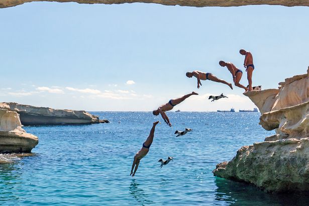 Tiếp nước với chân trước, thẳng người hoặc cắm xuống với hai tay duỗi thẳng để bảo vệ đầu  Tiếp nước với chân trước, thẳng người hoặc cắm xuống với hai tay duỗi thẳng để bảo vệ đầu