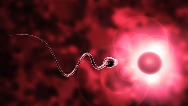 Ngăn chặn trứng và tinh trùng gặp nhau 