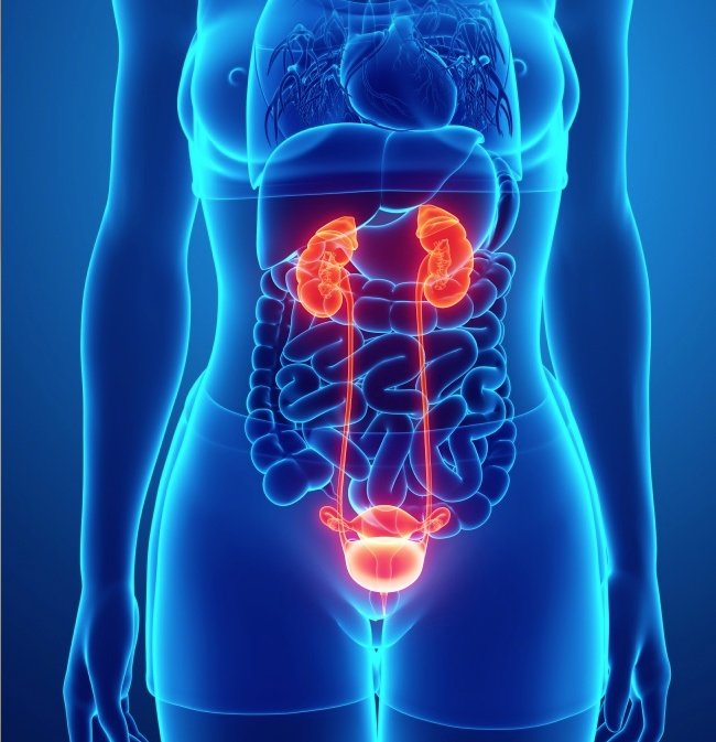 Các bệnh truyền nhiễm